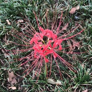 Meet your Posher, Fatima